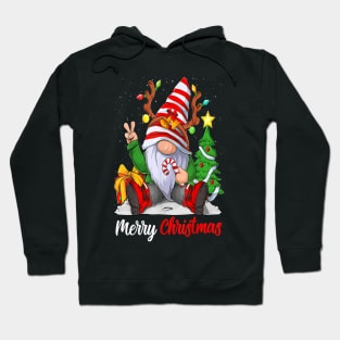 Merry Christmas Gnome Family Hoodie